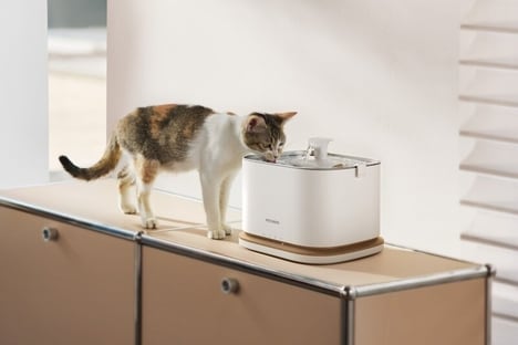 Insightful Pet Fountains