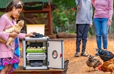 Tech-Driven Poultry Equipment Lines