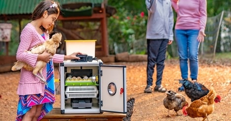 Tech-Driven Poultry Equipment Lines
