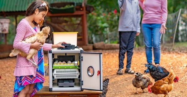 Tech-Driven Poultry Equipment Lines