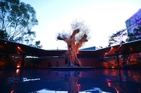 Multi-Sensory Immersive Installations Image 2