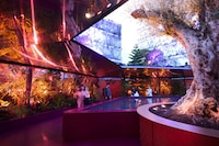 Multi-Sensory Immersive Installations Image 5