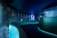 Multi-Sensory Immersive Installations Image 6