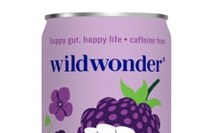 Cocktail-Inspired Probiotic-Infused Sparkling Beverages