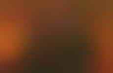 Festival-Inspired Streetwear Capsules