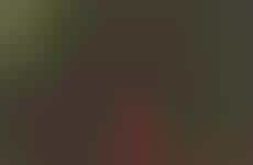 Reality-Star Apparel Collections