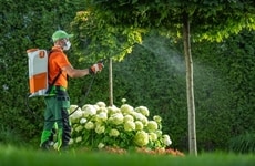 Broad-Spectrum Insecticides