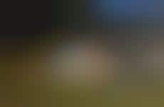 Nostalgia-Driven Apparel Partnerships