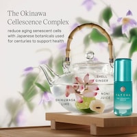 Japanese-Inspired Longevity Serums Image 2