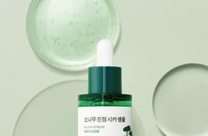 Sensitive-Skin-Friendly Pine Serums