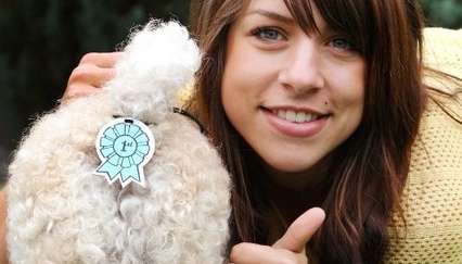 Bizarre Pet Accessories