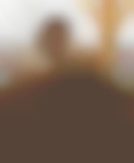 Artful Natural Buildings