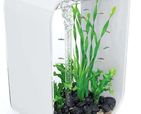 59 Bird Cages, Terrariums and Aquariums