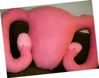 Reproductive Cuddle Buddies Image 2