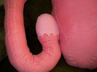Reproductive Cuddle Buddies Image 4