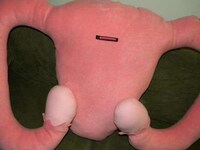 Reproductive Cuddle Buddies Image 5