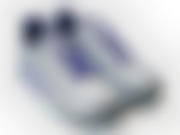 Silver Commemorative Kicks
