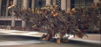 Urban Wooden Wildlife Image 4