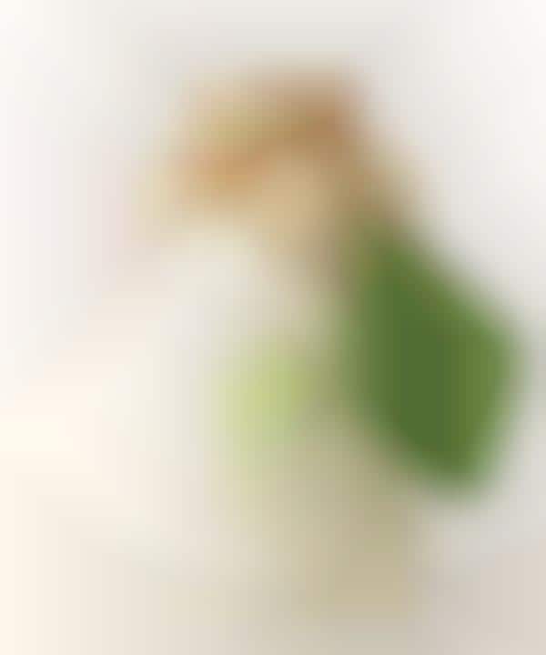 Topiary Dairy Products