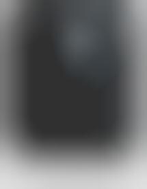 Facial Recognition Phones