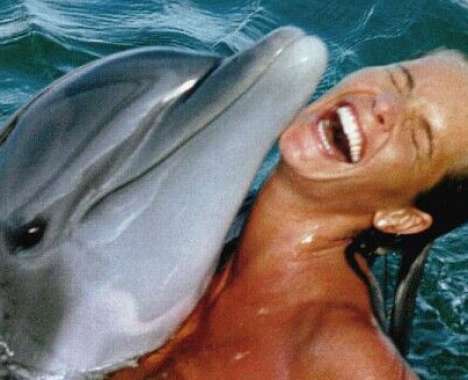 10 Dolphintastic Ideas