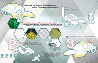 Walrus-Like Concept Cars Image 7