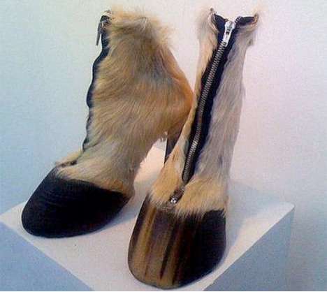 50 Furry Fashions