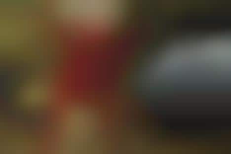 Rural Playground Photoshoots
