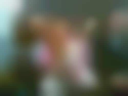 Awkward Subway Photoblogs