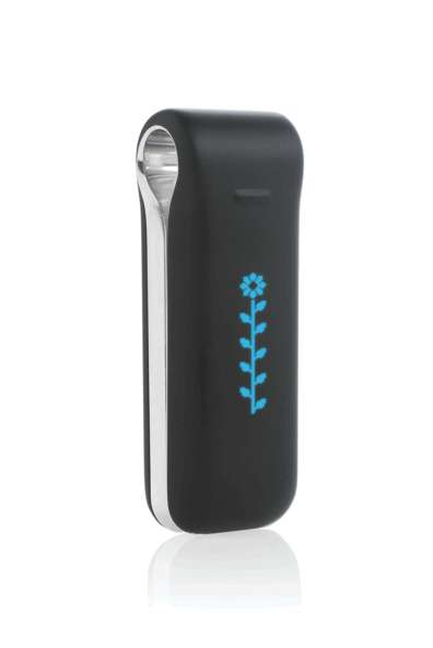 Motion-Sensing Fitness Gadgets