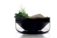 Agromaterial Domestic Objects Image 3