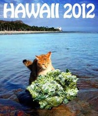 Pot Culture Photobombs Image 2