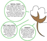 Nature-Loving Knickers Image 5