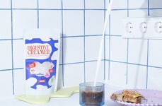 Functional Plant-Based Dairy Products