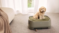 Purifying Pet Beds Image 1