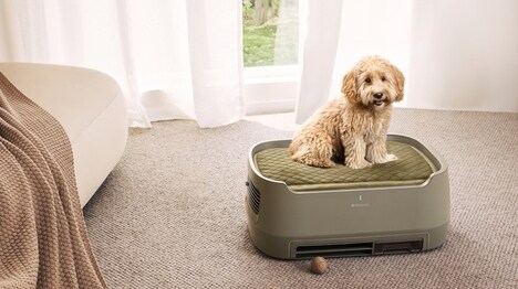 Purifying Pet Beds