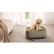 Purifying Pet Beds Image 1