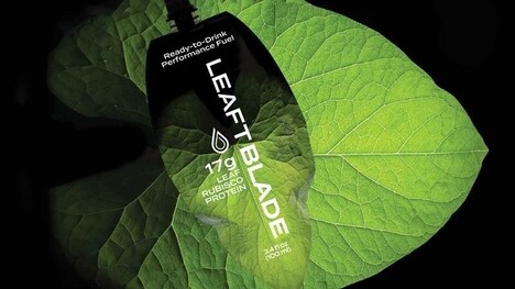 Plant-Powered Performance Fuels