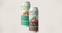 Low-Sugar Craft Sodas Image 1