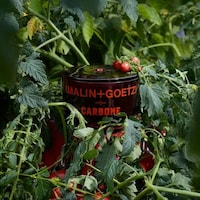 Collaborative Tomato Candles Image 2