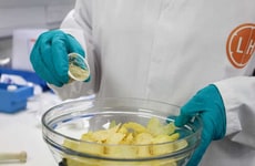 Umami Miso Food Flavorings