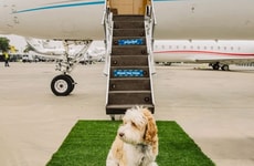 Pet-Focused Travel Concierges