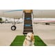 Pet-Focused Travel Concierges Image 1