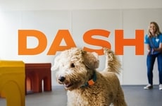 Dog Activity Monitors