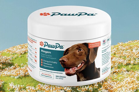 Vitality-Boosting Dog Supplements