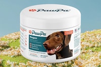 Vitality-Boosting Dog Supplements Image 1