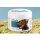 Vitality-Boosting Dog Supplements Image 1