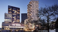 Forest Tower Designs Image 3