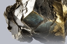 Social Media Automation