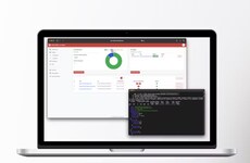 Automated Data Extraction